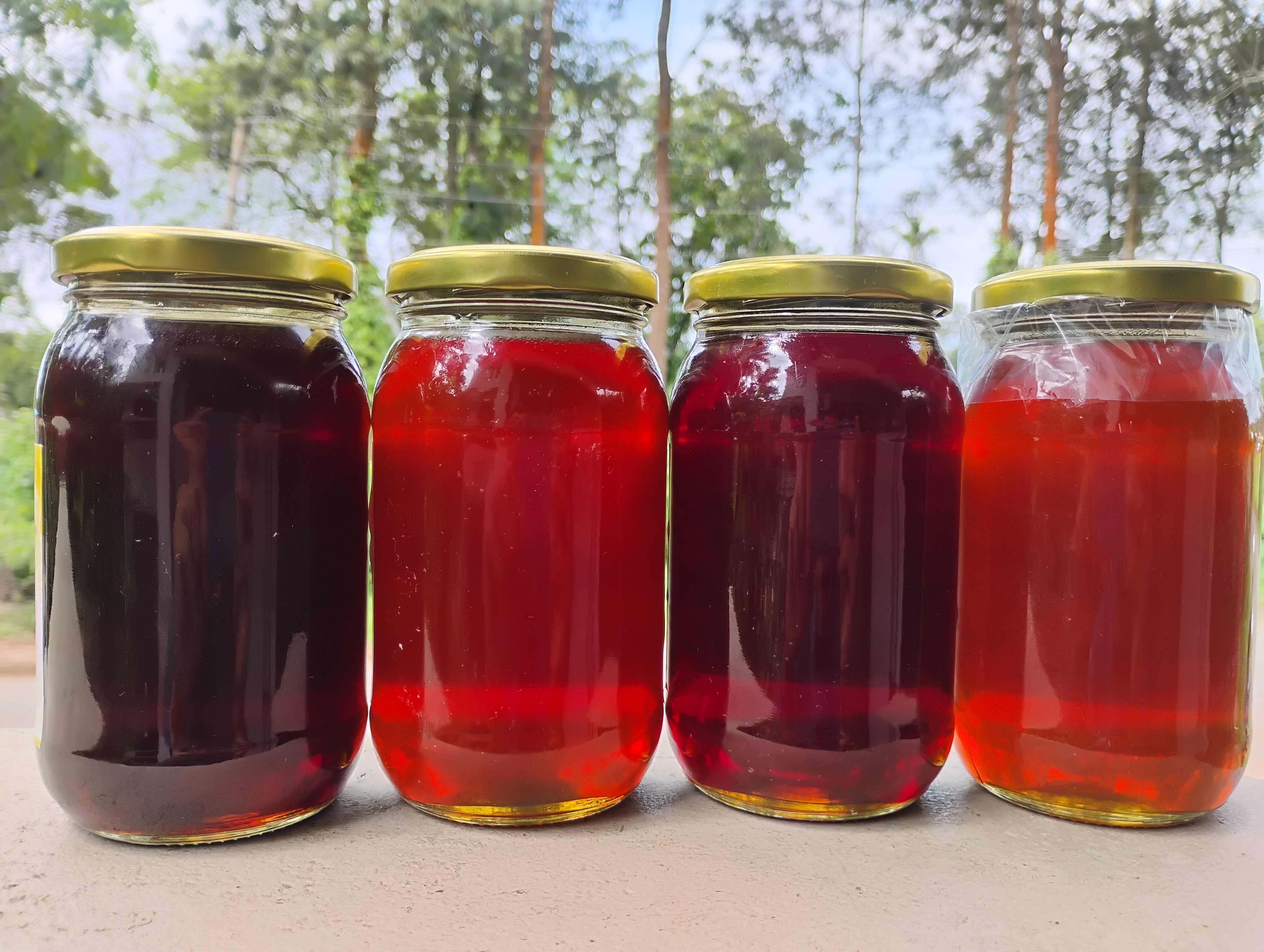 Coorg Potti Thene (Honey)
